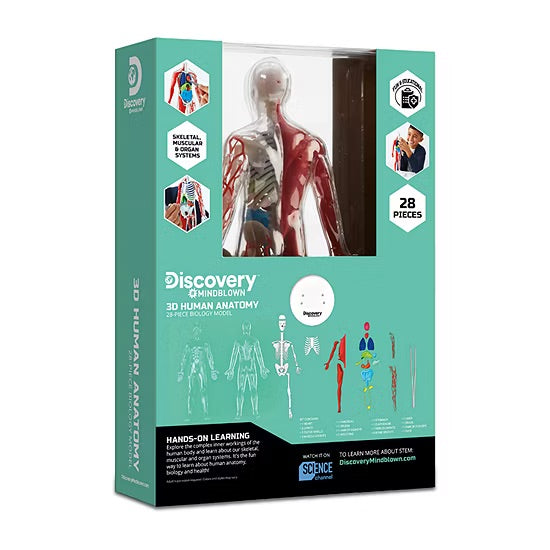 Discovery #Mindblown 3D Human Anatomy 28-piece Biology Model