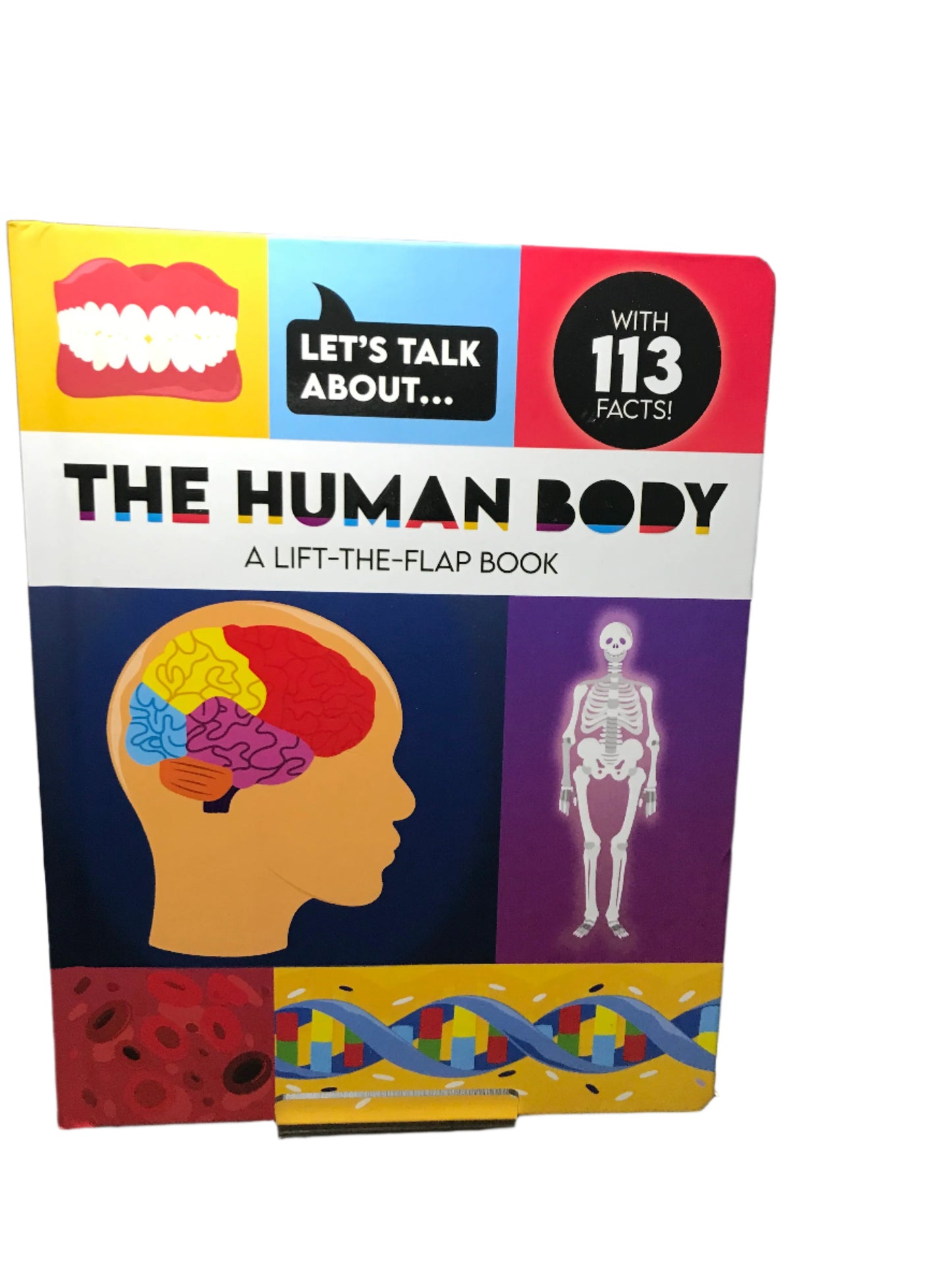 The Human Body