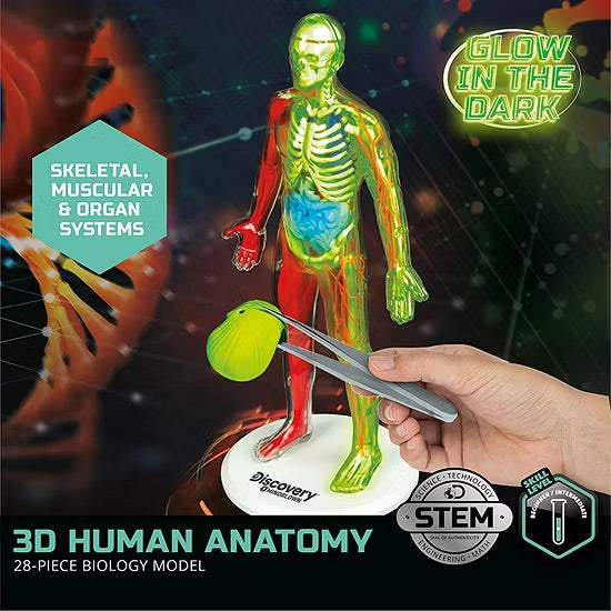 Discovery #Mindblown 3D Human Anatomy 28-piece Biology Model