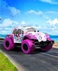 Sharper Image Toy RC Pixie Cruiser